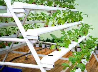 Smart Agriculture & IoT Integration